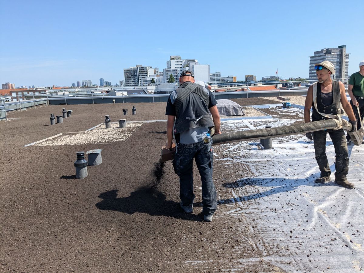Betoplan-Dachdecker tragen Material über ein Flachdach am Halleschen Ufer mit Blick über Berlin