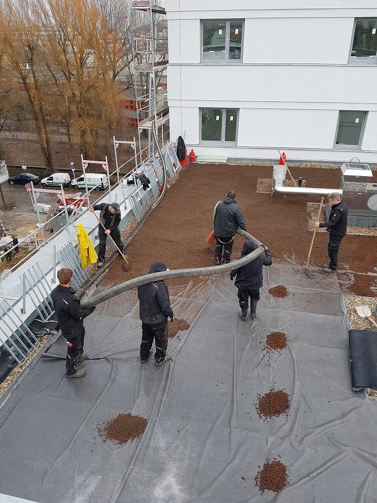 Sechs Betoplan-Kollegen bei der Dachbegrünung auf einem Flachdach in der Bornemannstraße, Berlin
